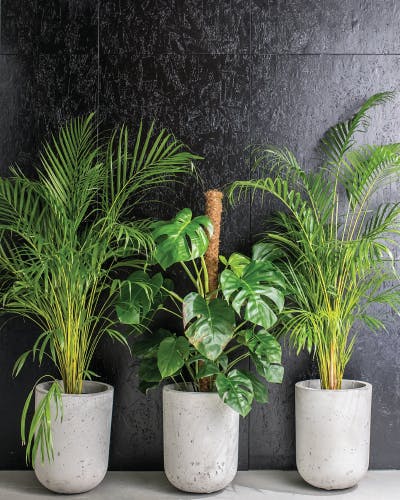 3 Potted Artificial Plants