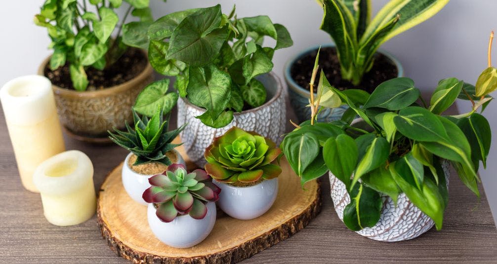 Small Potted Artificial Plants