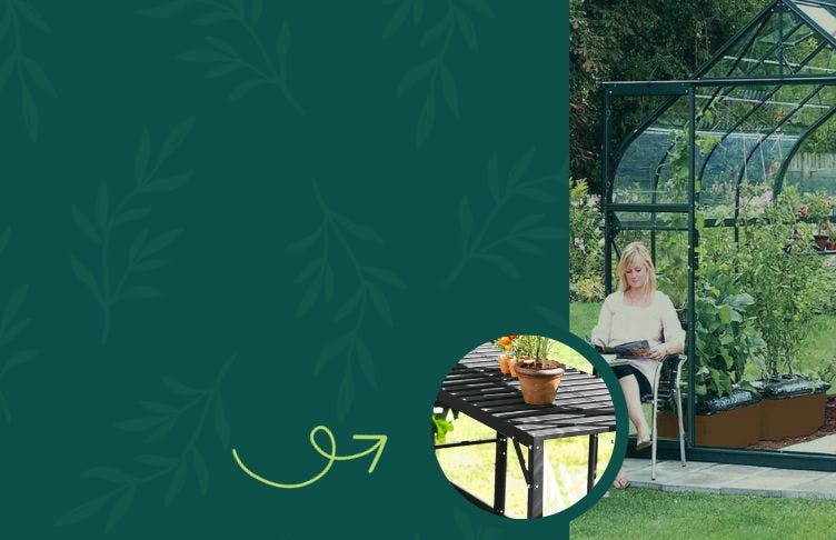Vitavia Greenhouse Promotion 