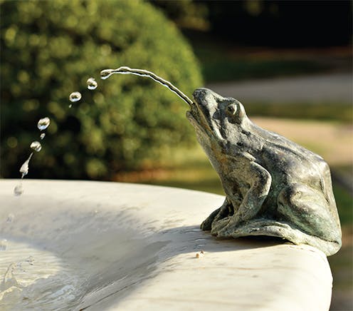 Frog spitting water feature