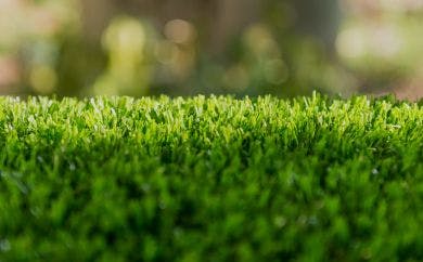 Premium Artificial Grass 