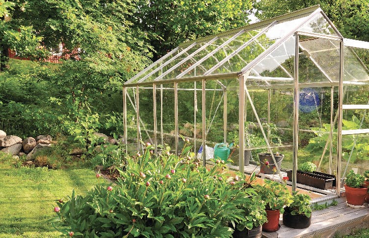 Large Glass Greenhouse in Garden