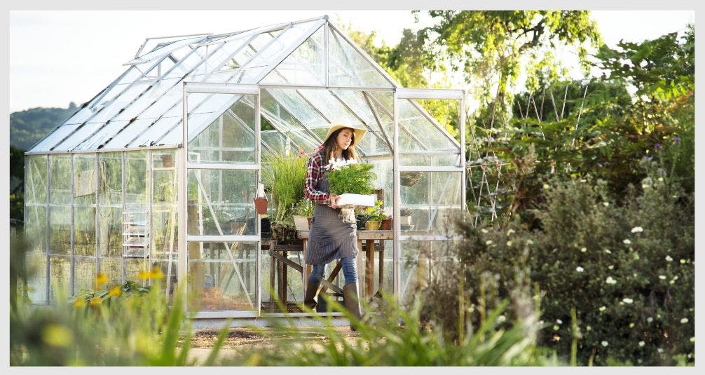 Sunny Garden with Glass Greenhouse