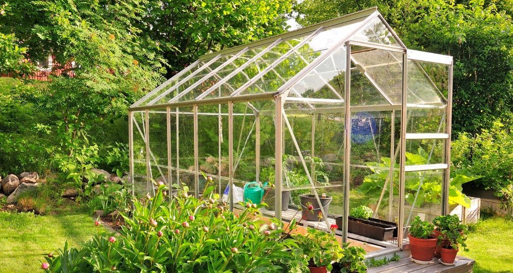 sunny greenhouse in garden