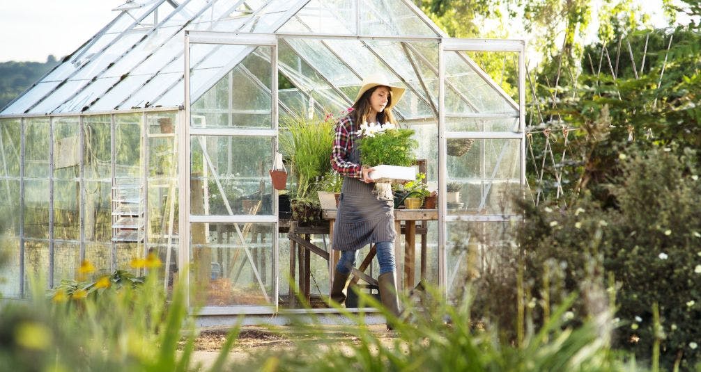 woman gardening with greenhouse