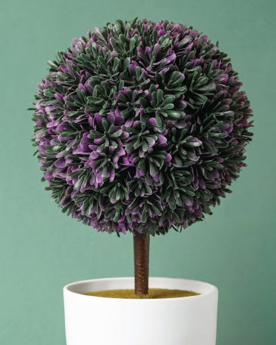 Round Potted Tree