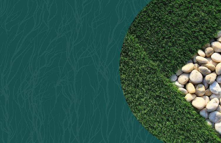 Premium Artificial Grass