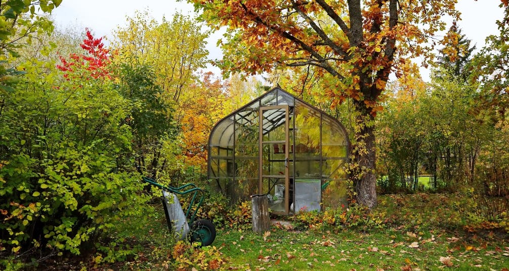 Outdoor Greenhouses and Garden Buildings 