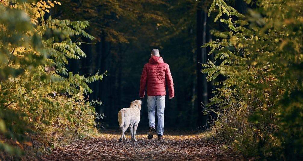 The Benefits of the Great Outdoors man walking dog in forest