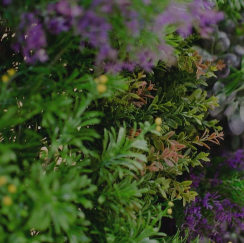 Detailed Shot of Artificial hedging Panel