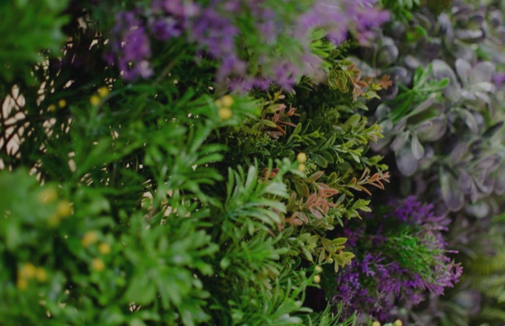 Detailed Shot of Artificial hedging Panel