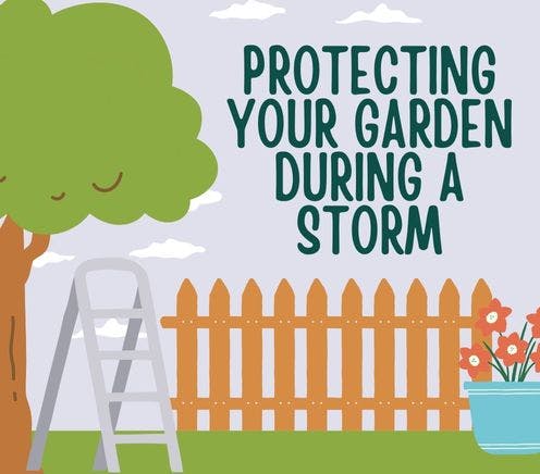 Protecting Your Garden During a Storm 