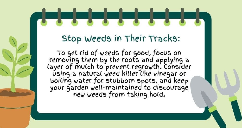 Cartoon Graphic of handwritten tip on how to remove weeds