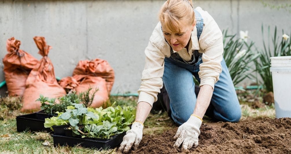 Woman checking garden soil with gardening gloves