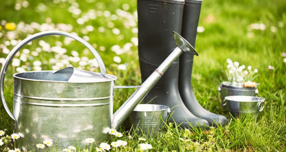 Garden tools and wellies on green grass with daisies