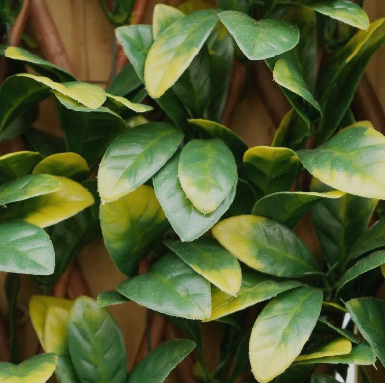 close up detail shot of artificial trellis leaf 