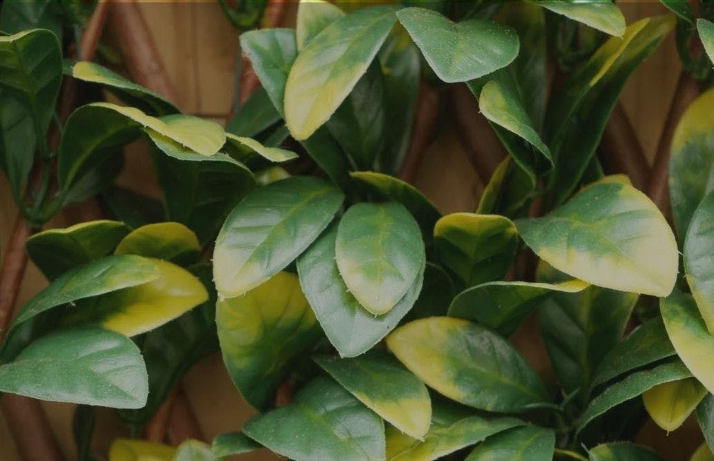 close up detail shot of artificial trellis leaf 