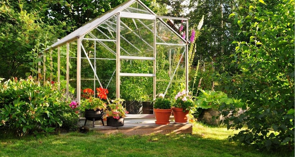 Greenhouse in sunny garden on wooden base