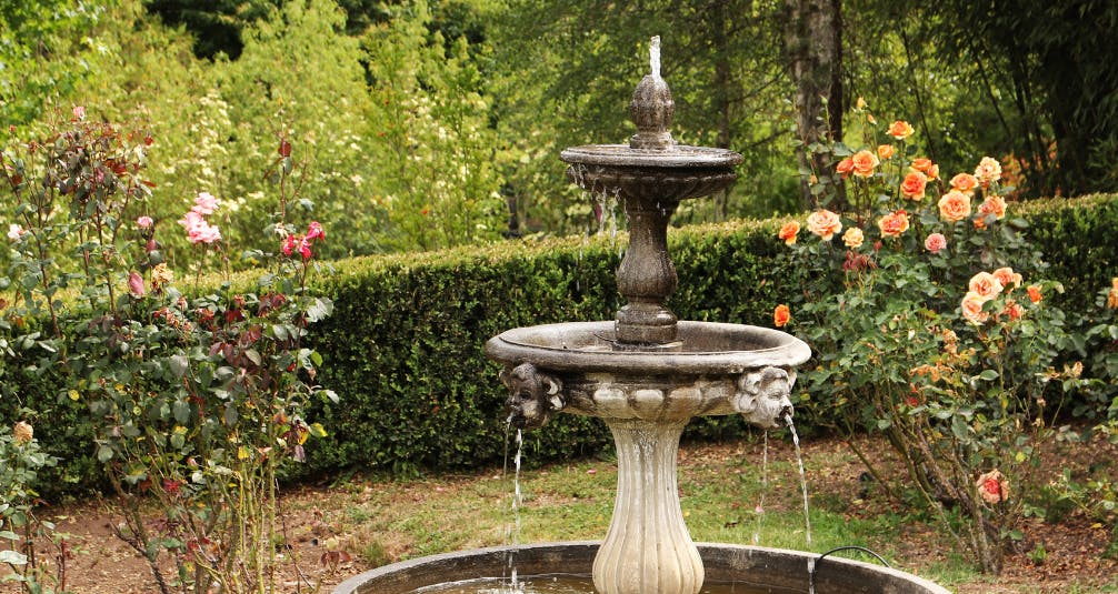 Water Fountain - Elements for a Wildlife Friendly Garden