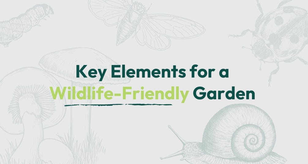 Water Fountain - Elements for a Wildlife Friendly Garden 