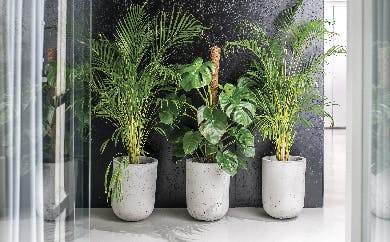 3 Potted Artificial Plants