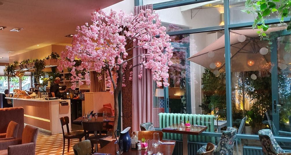 Cherry blossom tree outside restaurant