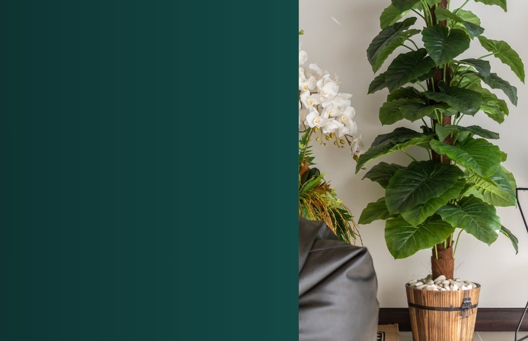 June Summer Sale Artificial Trees Desktop