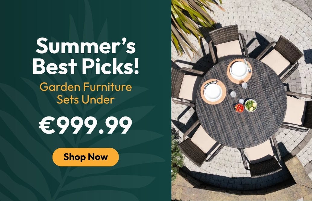 Summer’s Best Picks