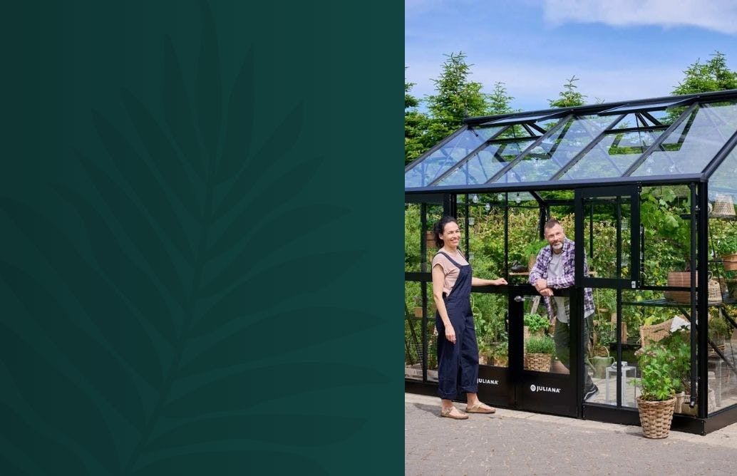 August Bank Holiday End of Season Sale Greenhouses