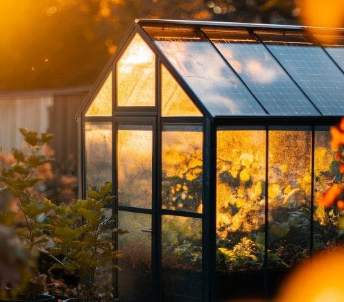 What to Plant in Your Greenhouse This Autumn