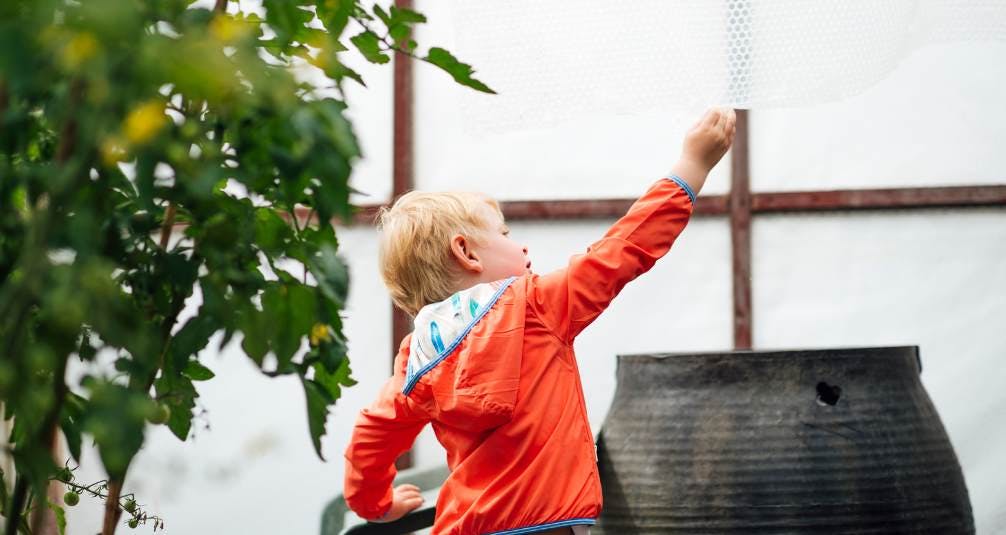 Greenhouses - Extend your Harvest - Gardening