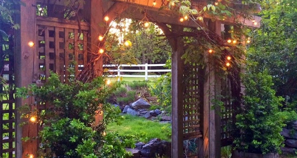 Garden arbour with lights