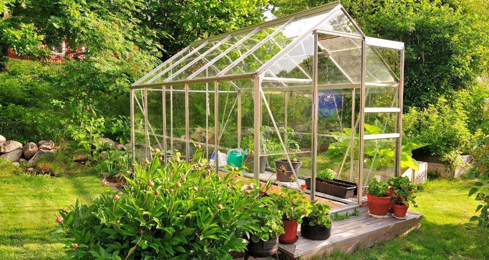 Large glass greenhouse in garden