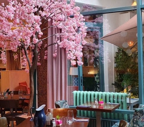 Cherry Blossom outside restaurant