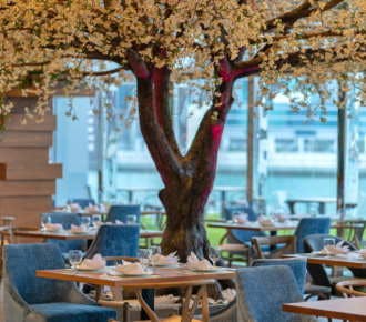 Large cherry blossom tree indoors