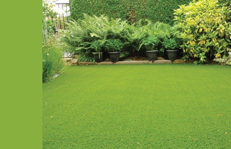 Perfect Artificial Grass Lawn