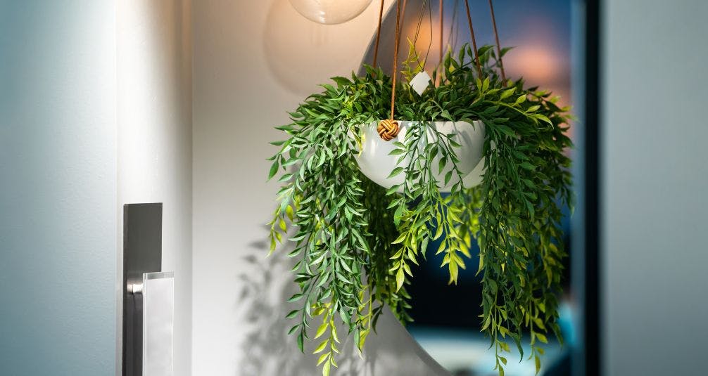 Hangin basket with Artificial Greenery