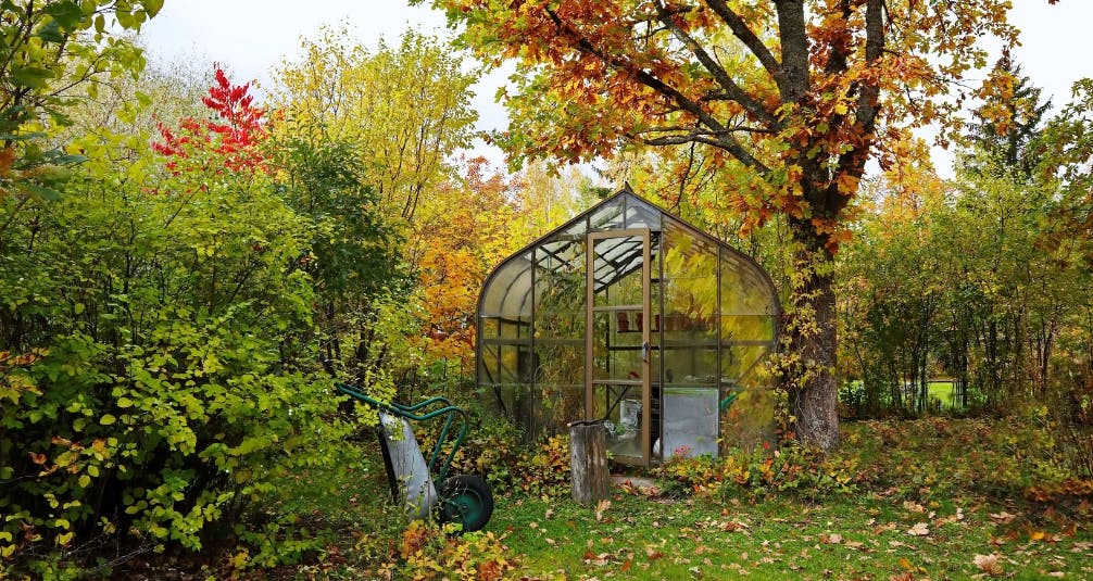 Greenhouse in Autumn 