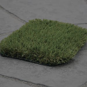 Glendalough Grass Sample