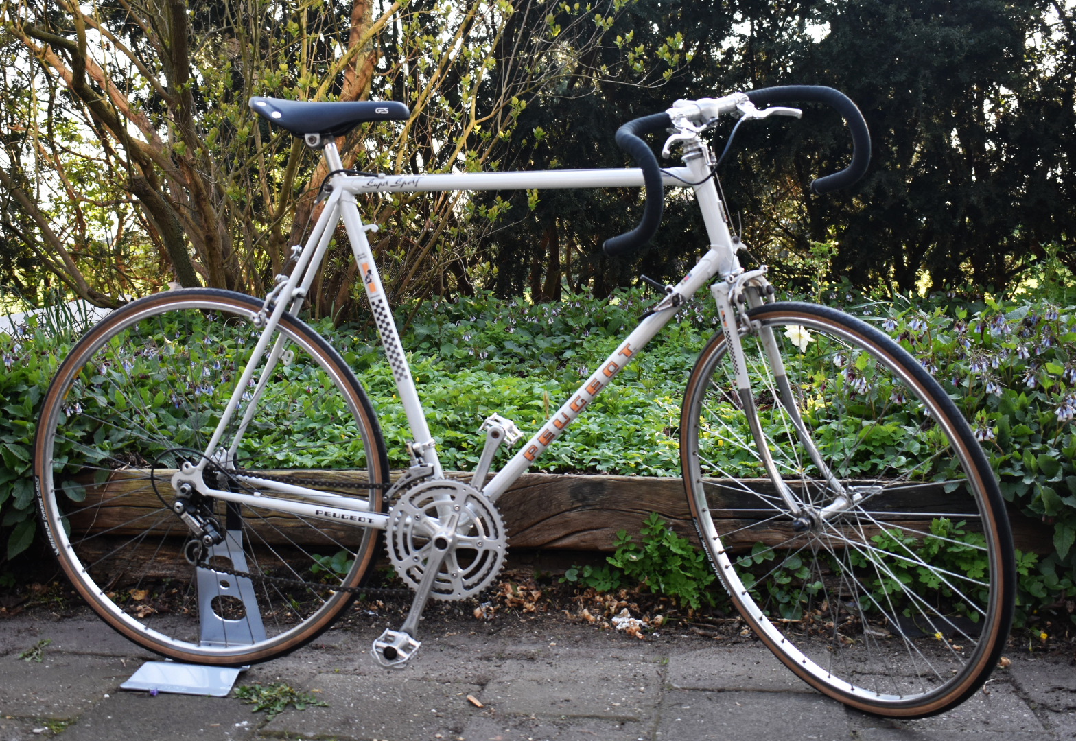 Card example background