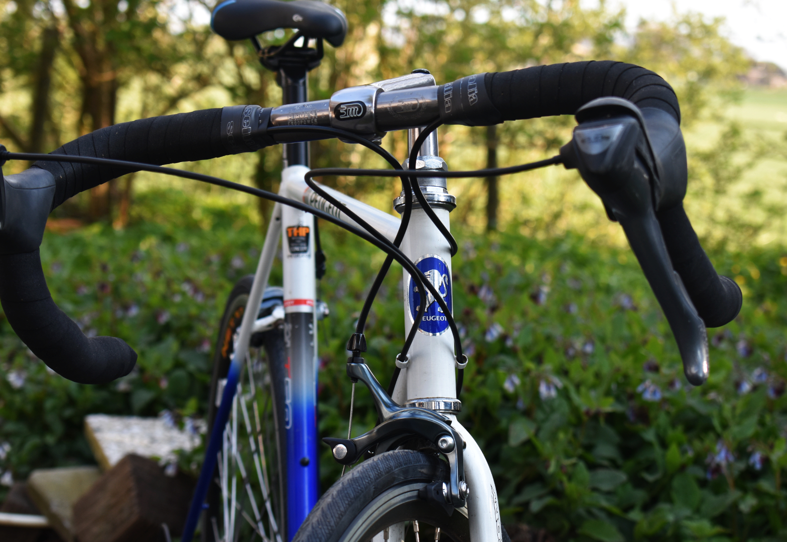 Card example background