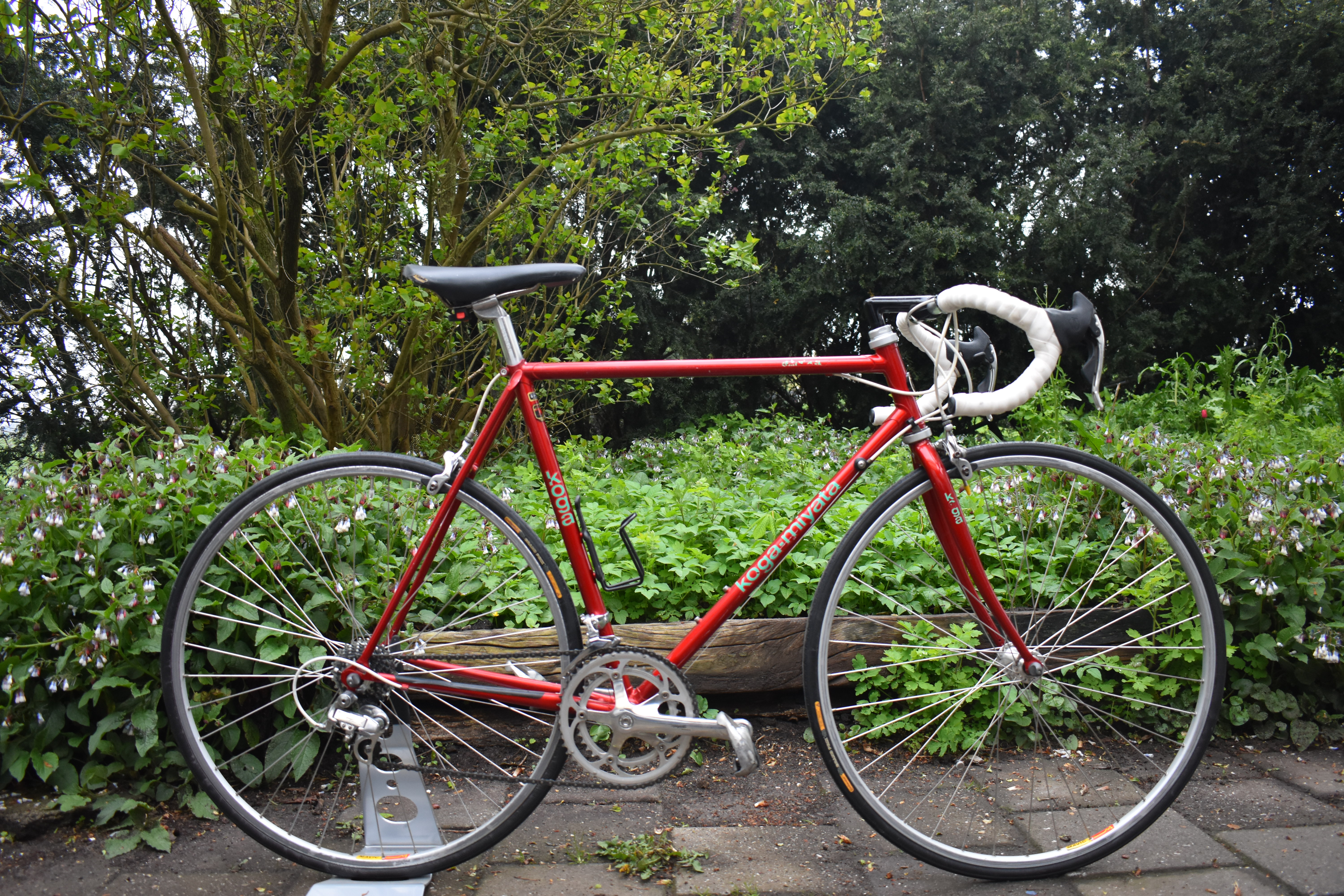 Card example background