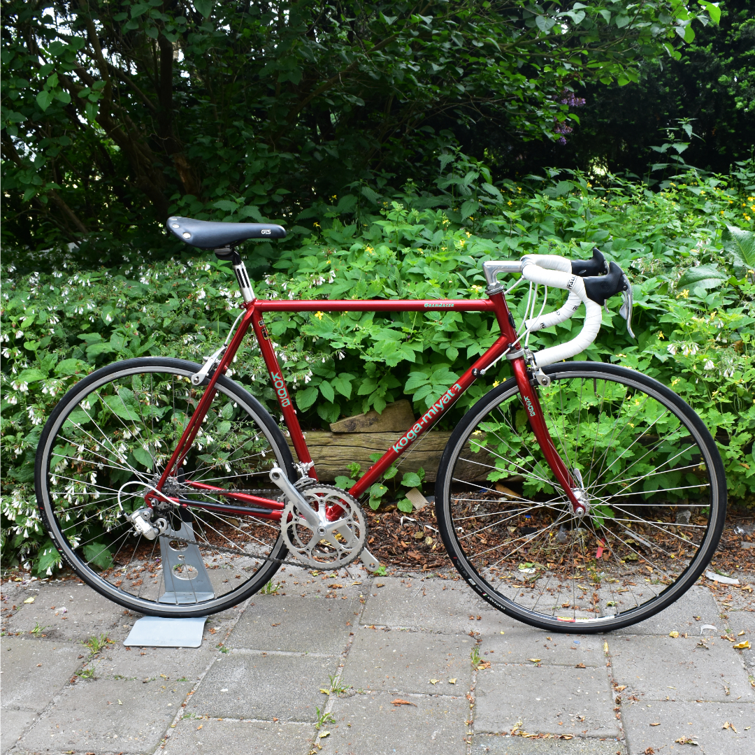 Card example background