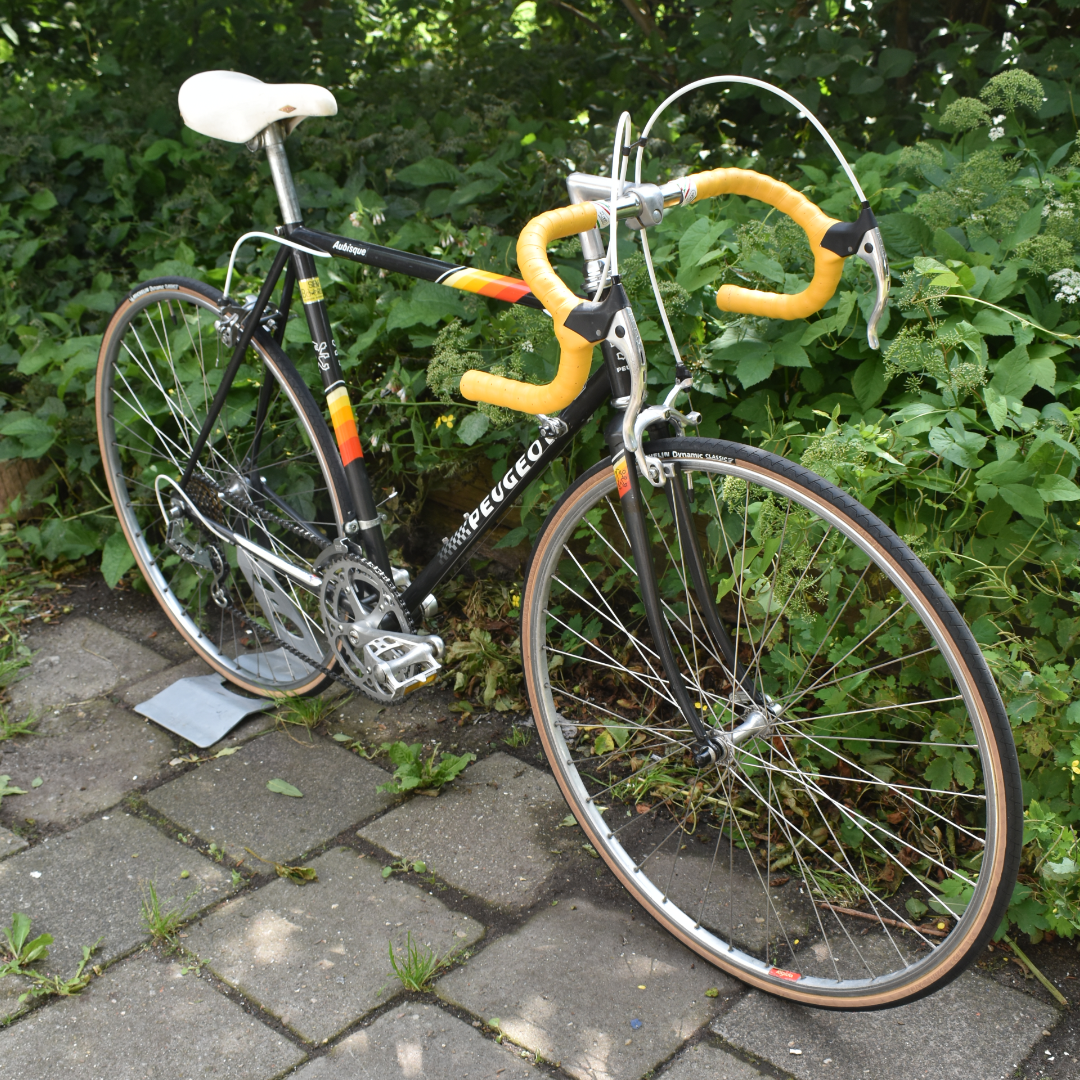 Card example background