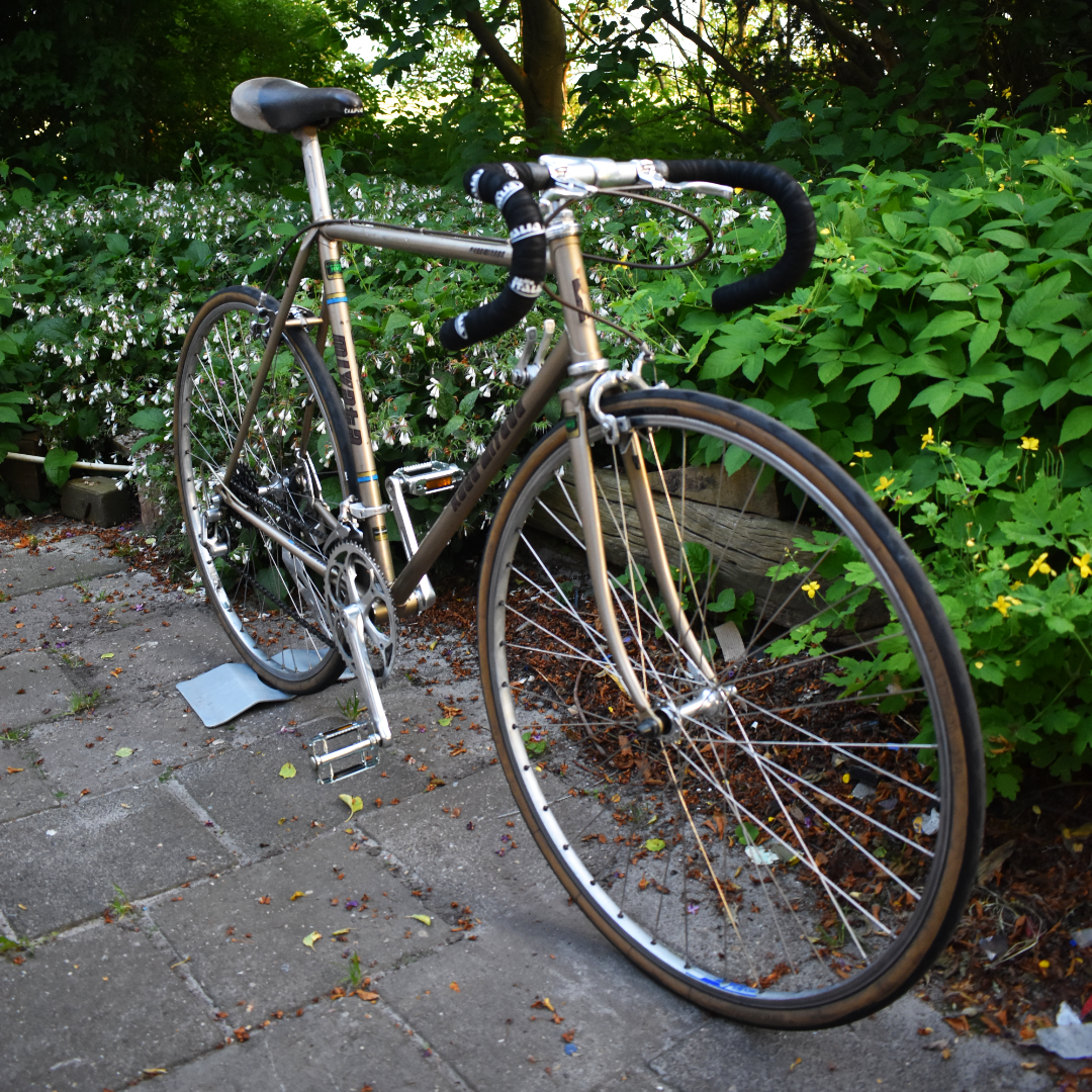 Card example background