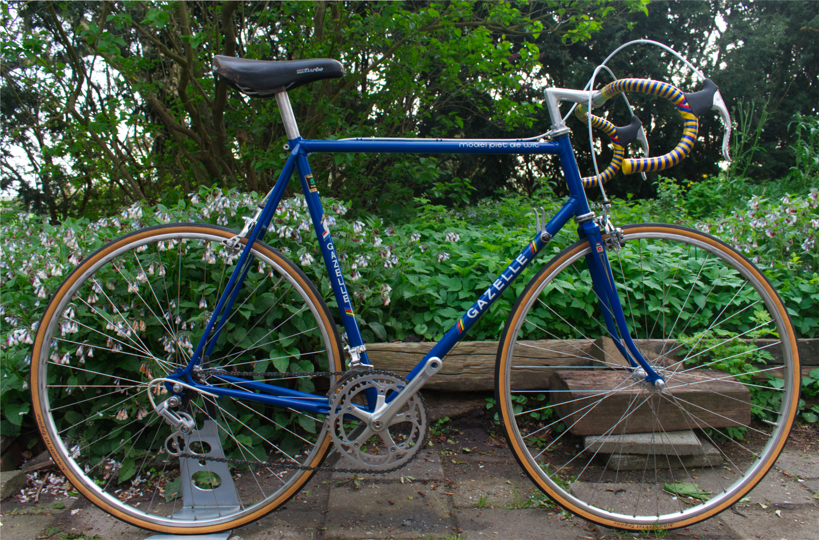 Card example background