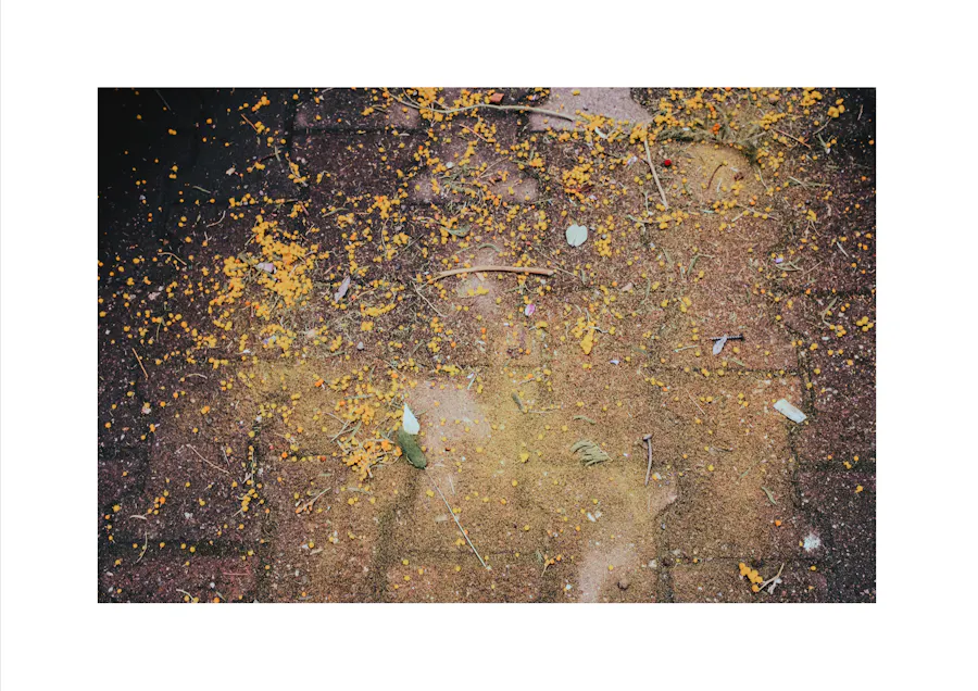 Gravel, Berlin 2025