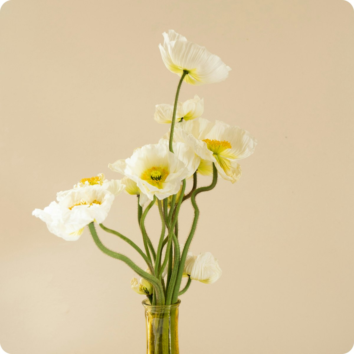 Interflora bouquet