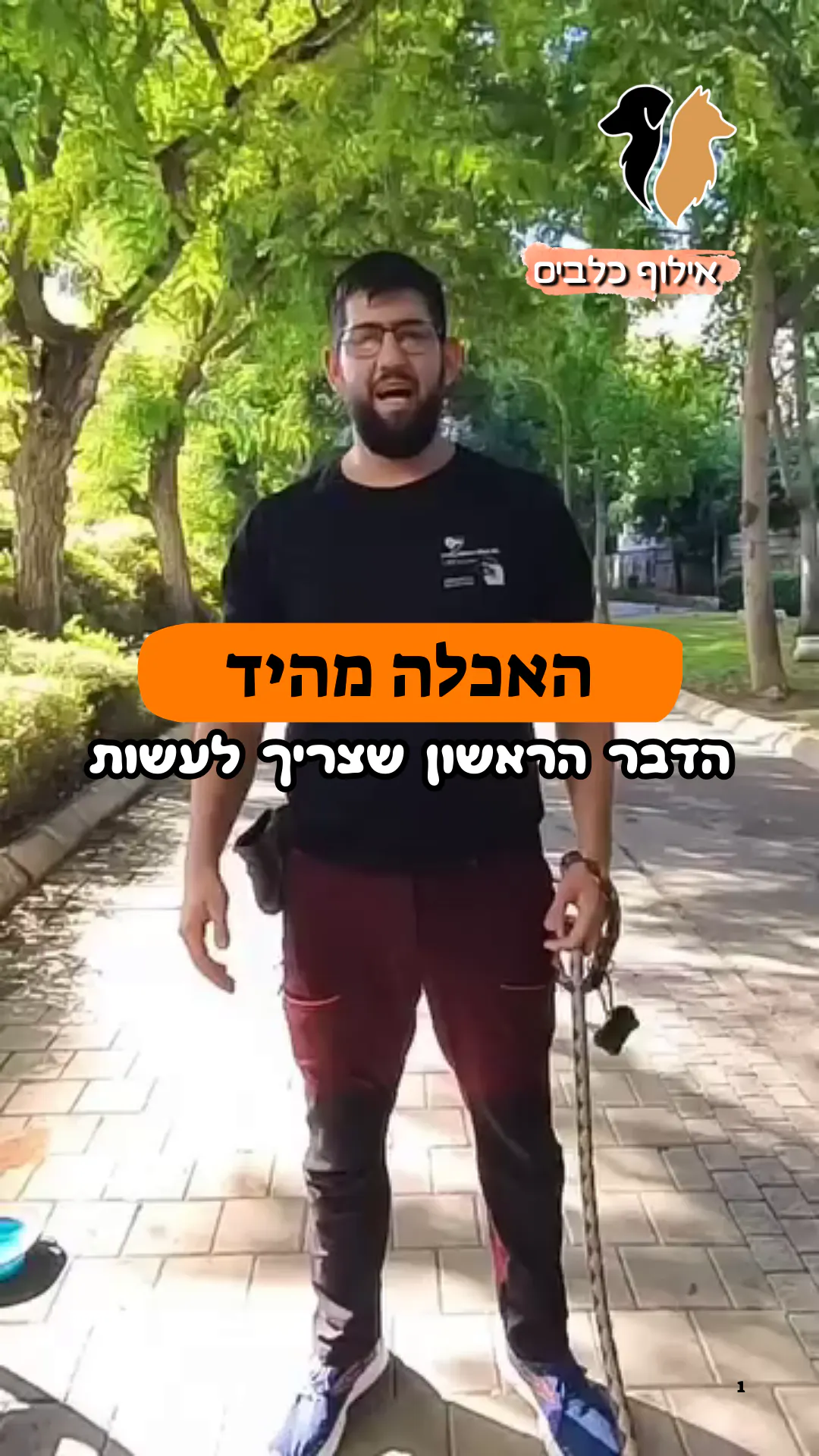 🤲 טיפ 1: האכלה מהיד – הצעד הראשון לאילוף מוצלח