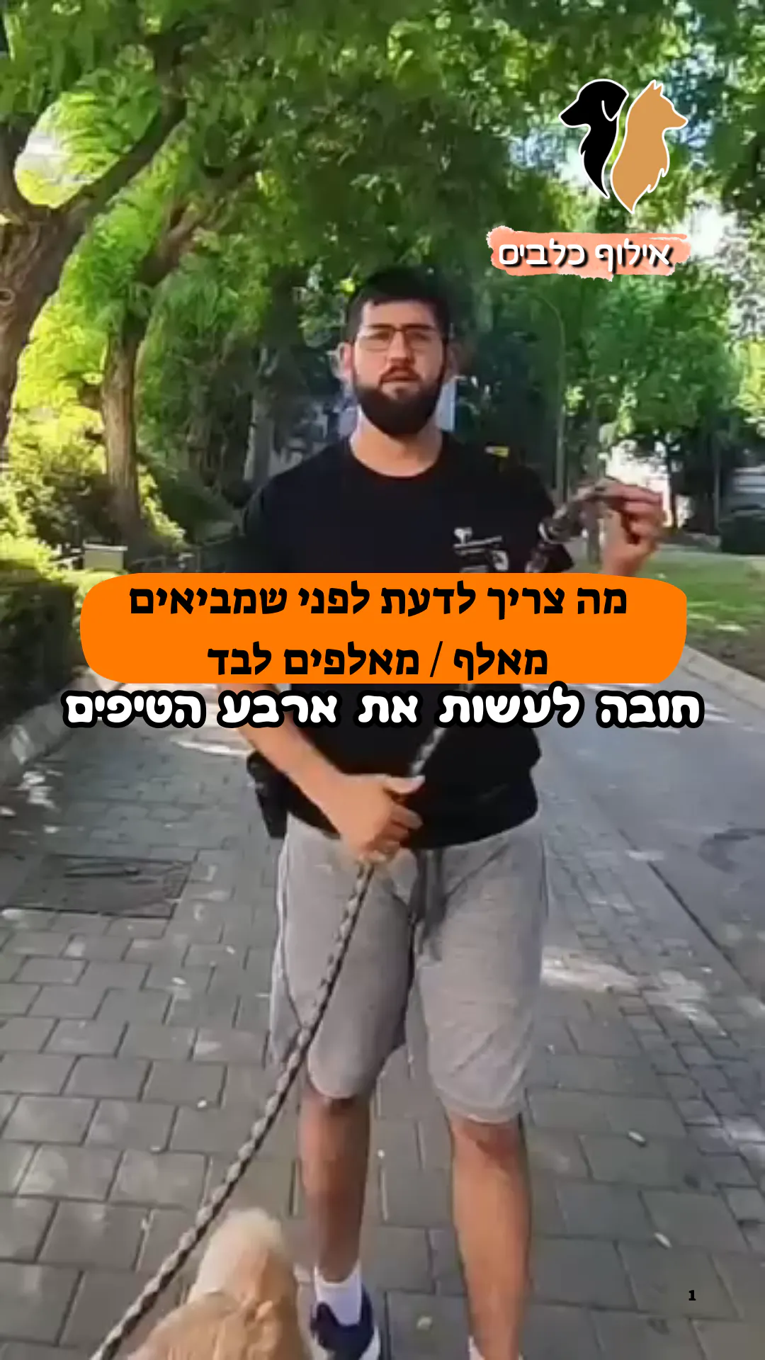 🎯 רוצים להתחיל לאלף? תעצרו רגע